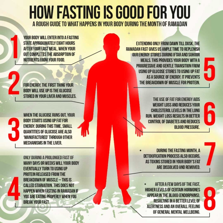 The Stages of Fasting Indepth Wellness Plant Based