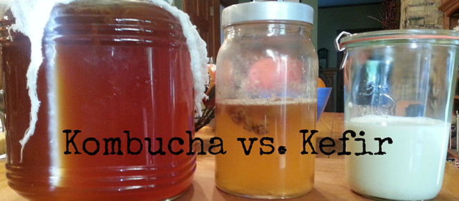 Water Kefir Vs Kombucha Which Is Better Wellness Plant Based