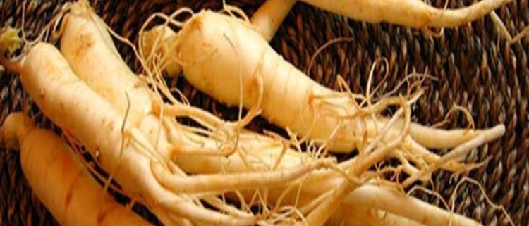 What Is Siberian Ginseng Wellness Plant Based